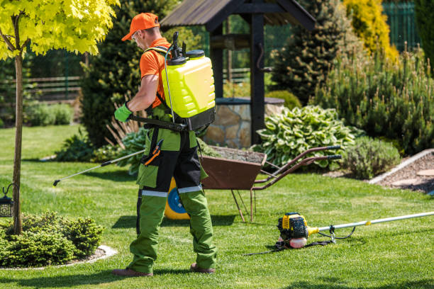 Best Fumigation Services  in USA